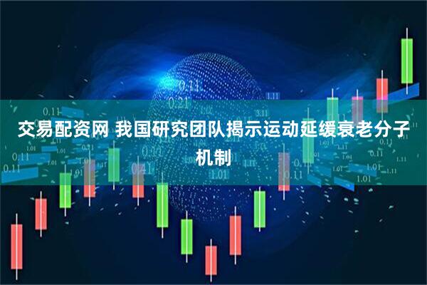 交易配资网 我国研究团队揭示运动延缓衰老分子机制