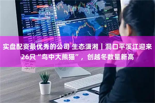 实盘配资最优秀的公司 生态潇湘｜洞口平溪江迎来26只“鸟中大熊猫”，创越冬数量新高